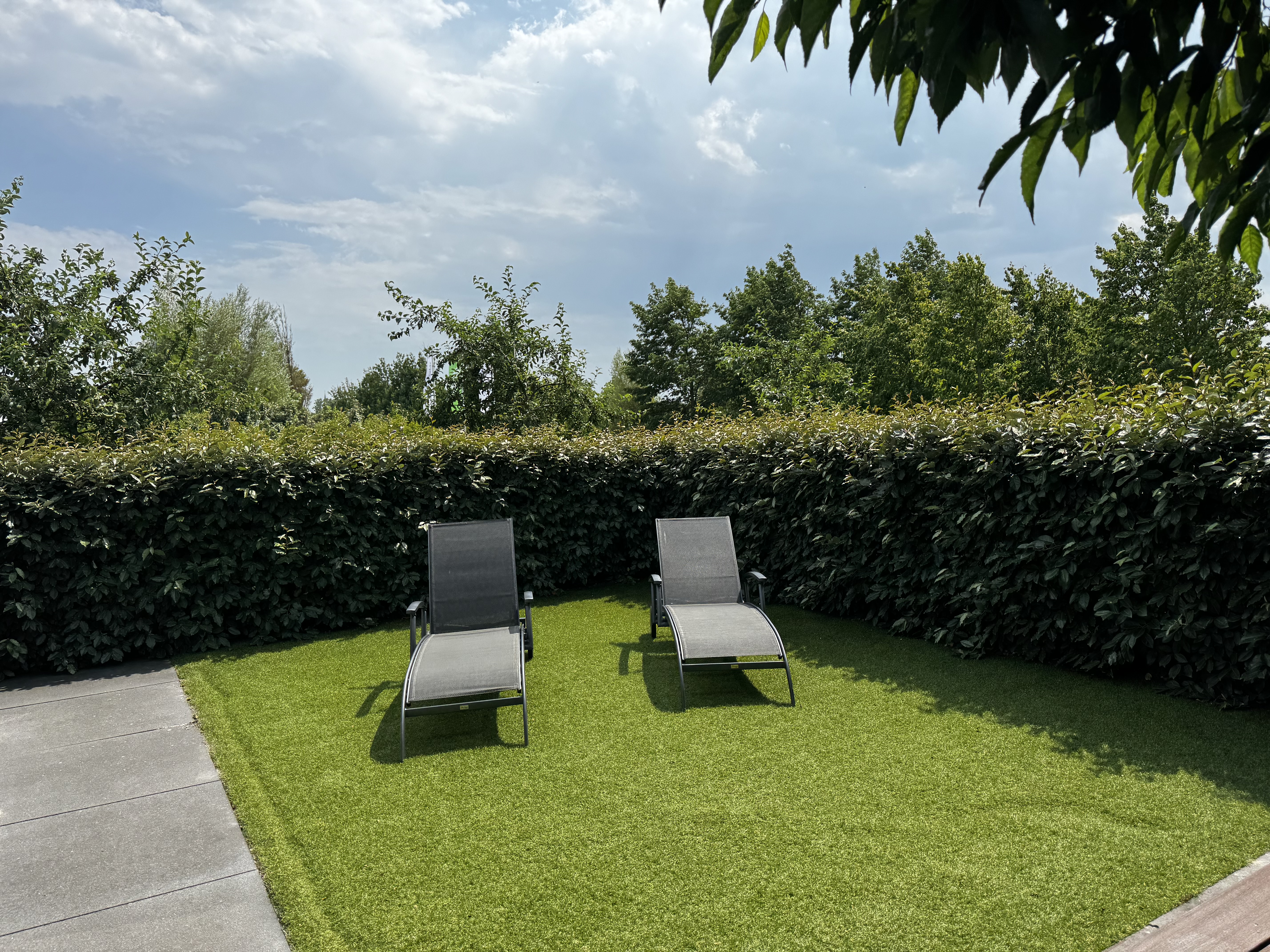 Private garden with hedge