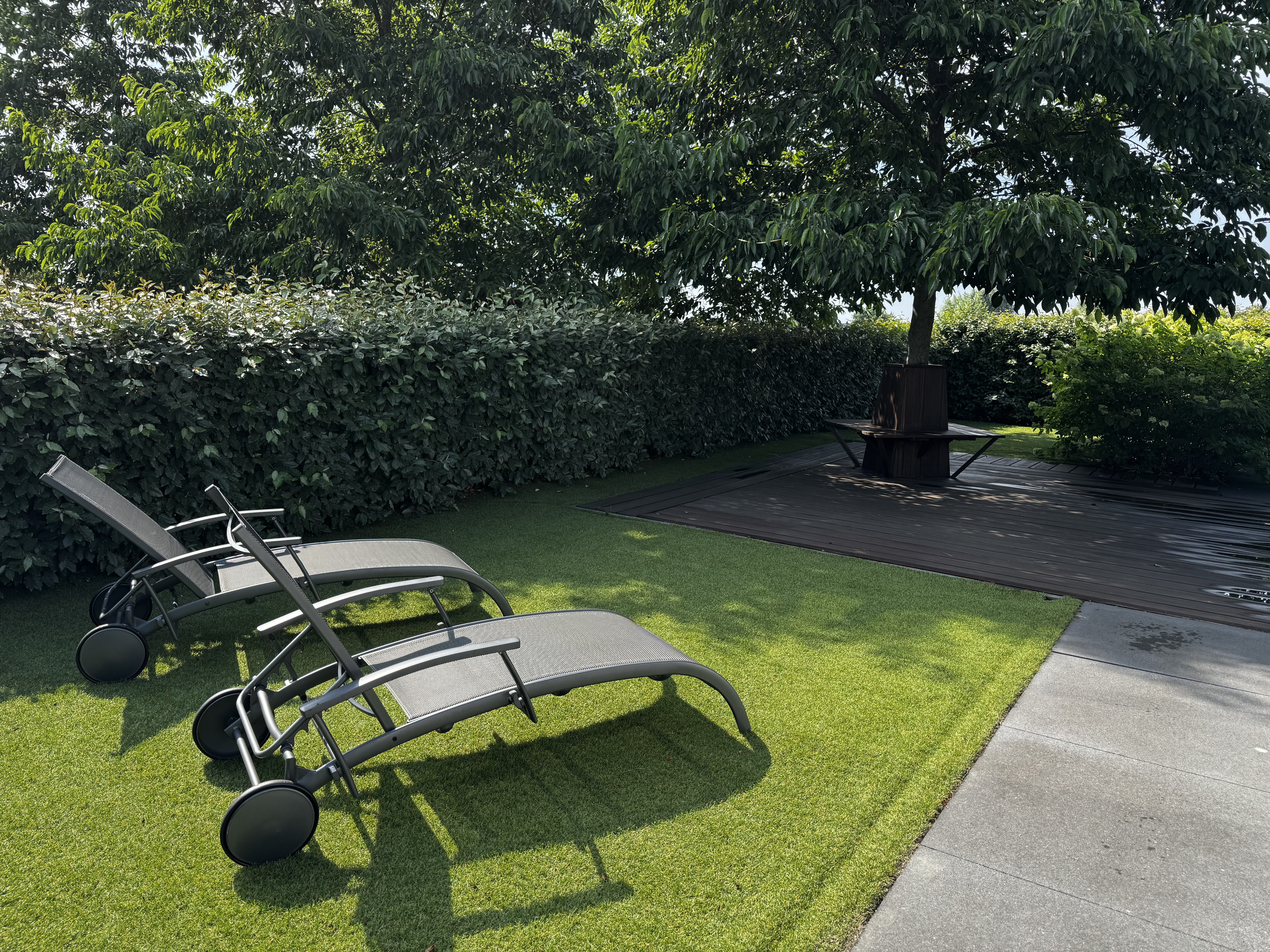 Garden loungers